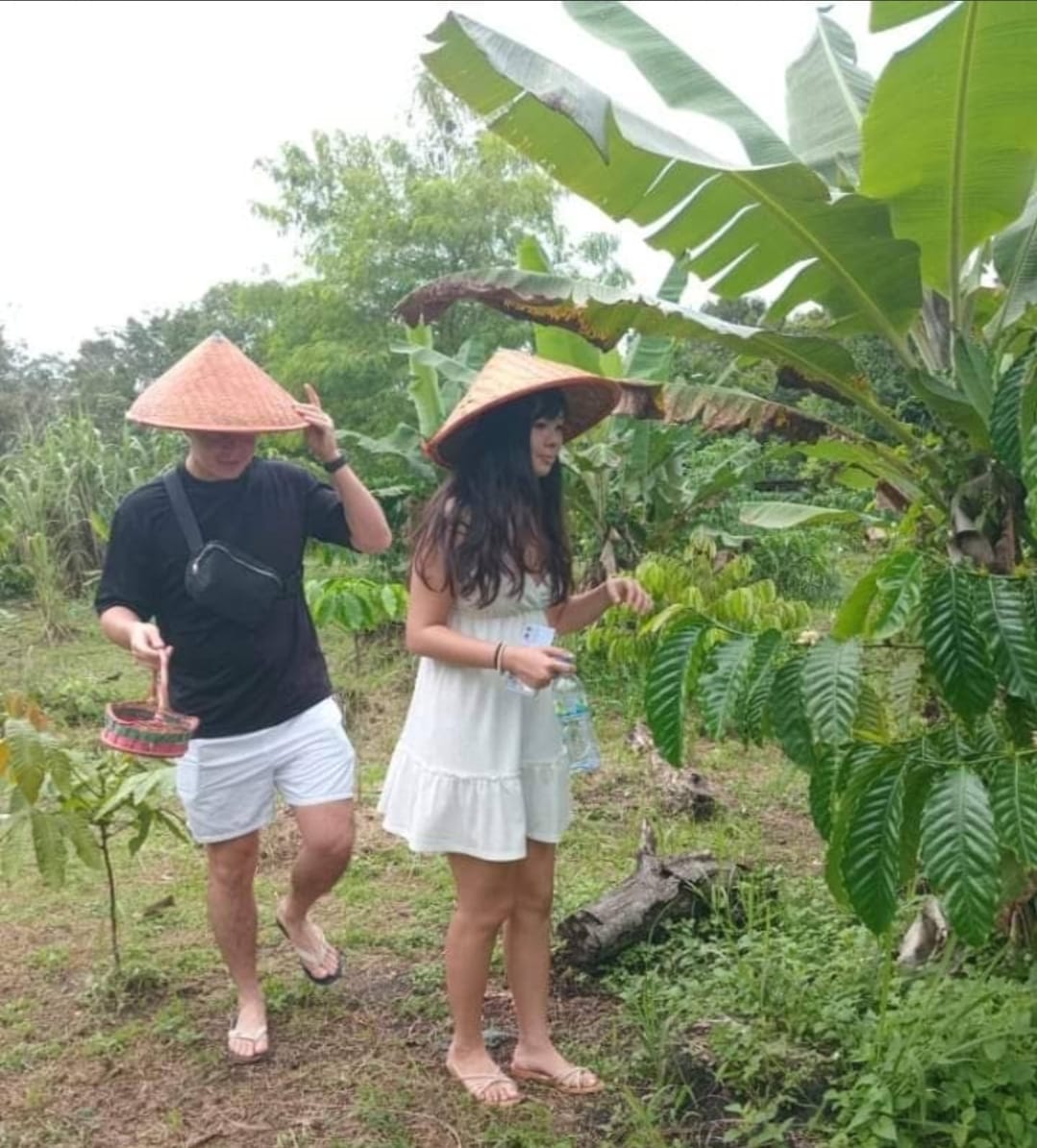 Image TOUR KOPI AND KELULUT BEE