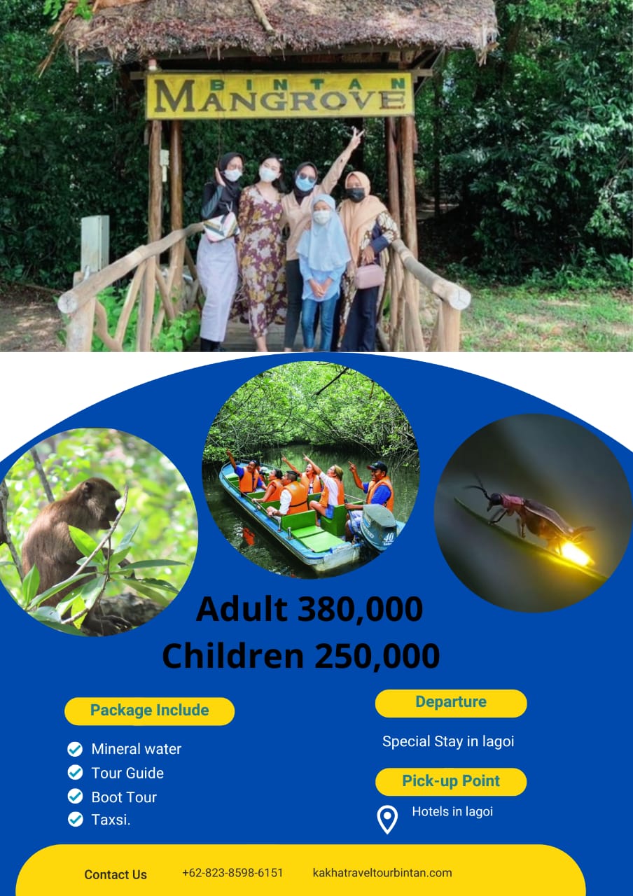 Image PAKET TOR MANGROVE  STAY AREA LAGOI FREE TAXI 