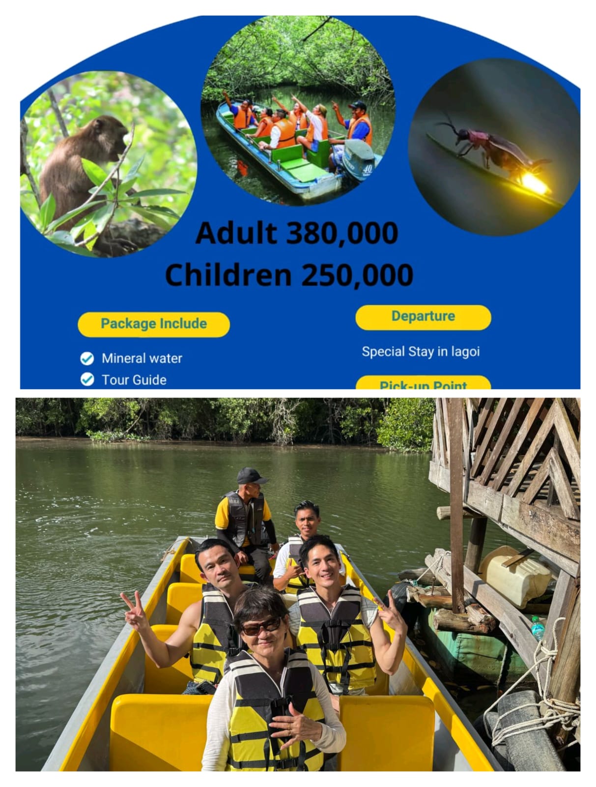 Image MANGROVE TOUR AND FIREFLIES CAN BOOK NOW STAY IN LAGOI AREA FREE TAXI